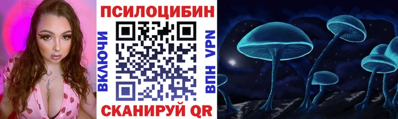 KRAKEN tor  Чадан  Псилоцибиновые грибы Psilocybe  где продают  